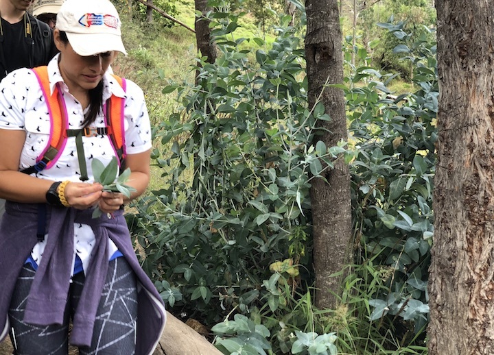 Dr. Amanda Wright D.O. with Eucalyptus Leaves In Peru